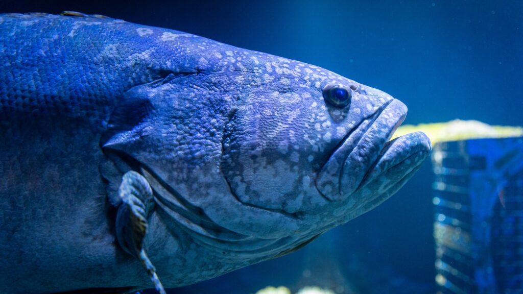 Vidéo reportage et shooting photo centre national de la mer nausicaa