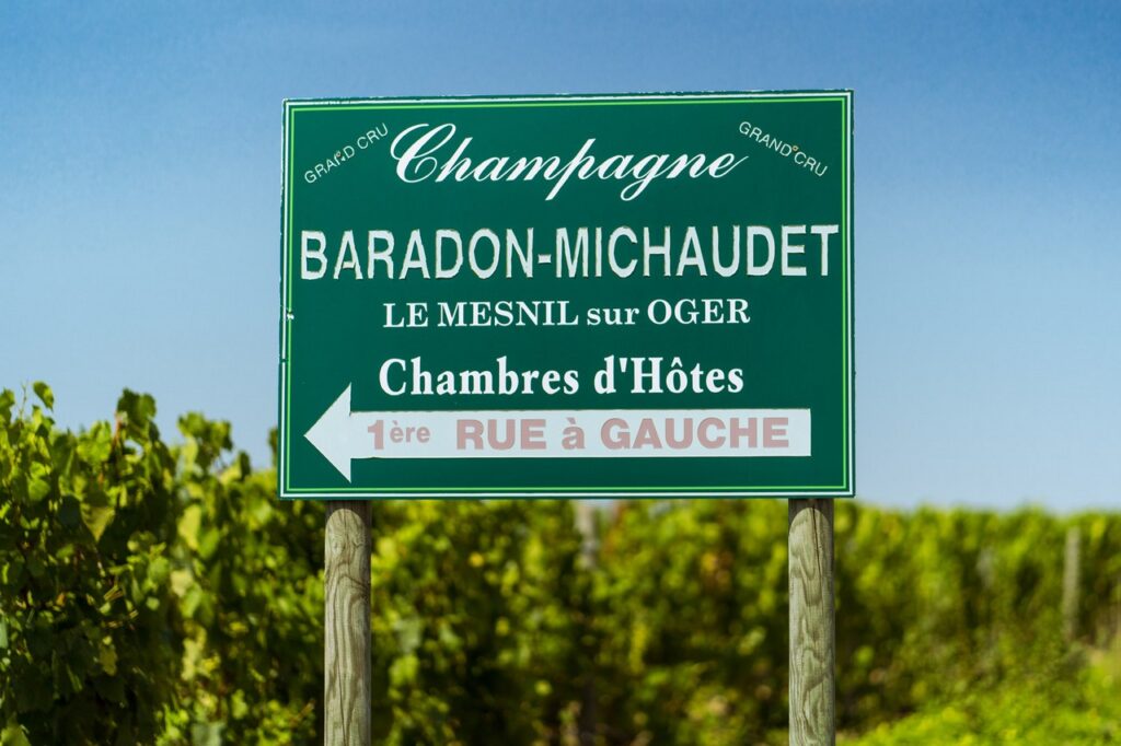 LJ com laurent jacquemart photos baradon michaudet (1)